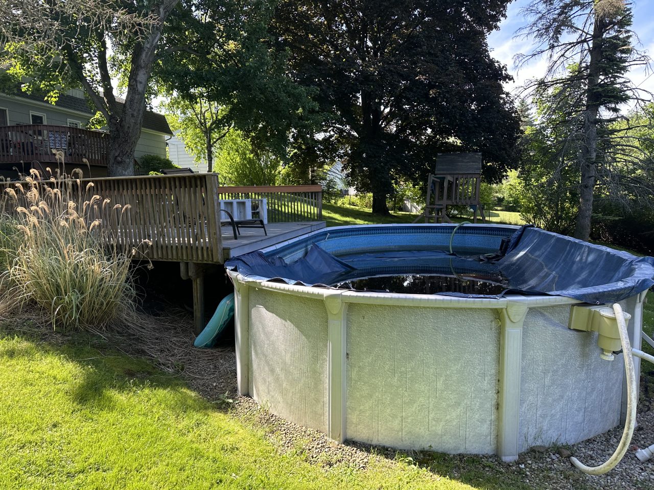 STEVE Pool & Deck Removal BEFORE 01